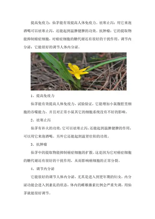 仙茅的功效与作用