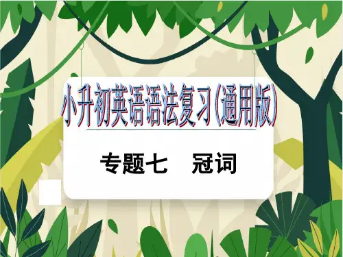 小升初英语语法复习专题七冠词(全国通用)