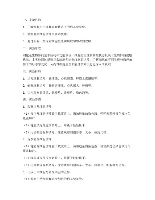 细胞生理病理实验报告