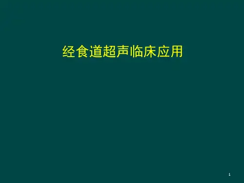 食道超声 ppt课件