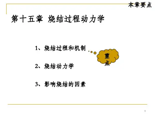 烧结过程动力学