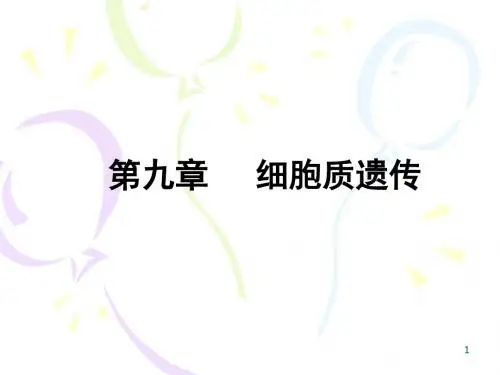 生物课件 细胞质遗传