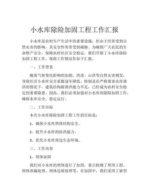 小水库除险加固工程工作汇报