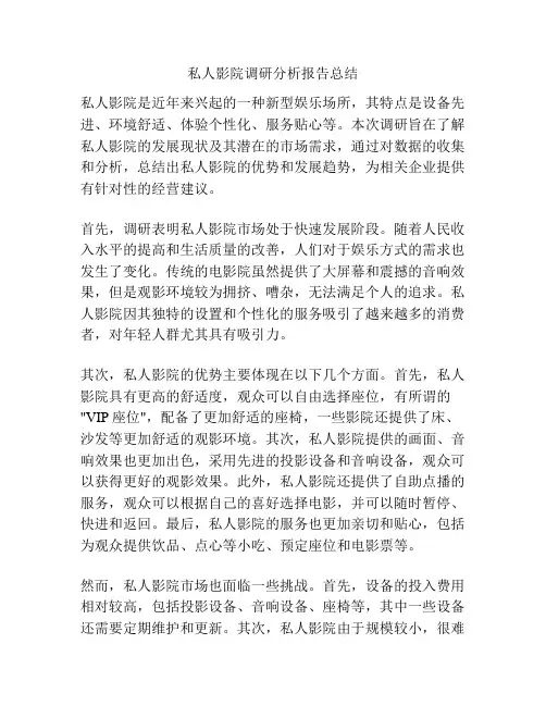 私人影院调研分析报告总结
