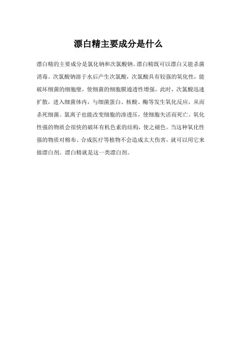 漂白精主要成分是什么