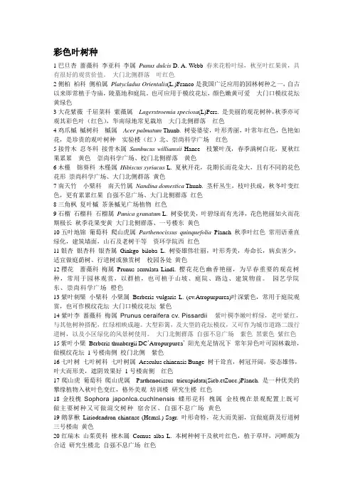 彩色叶树种