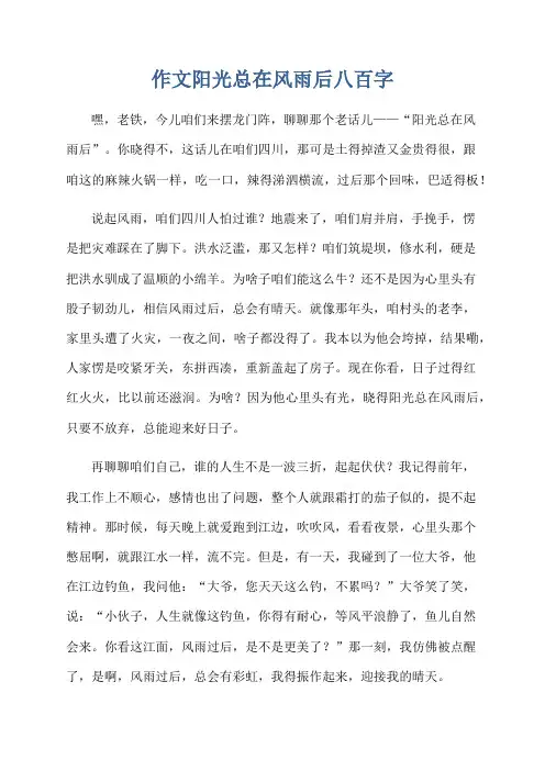 作文阳光总在风雨后八百字