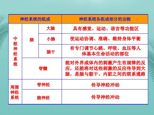 【全版】神经系统的组成及各部分的功能推荐PPT