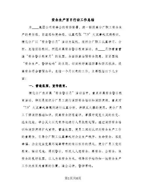 安全生产百日行动工作总结（2篇）