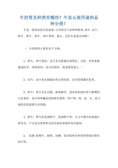 牛的常见种类有哪些？牛怎么按用途和品种分类？