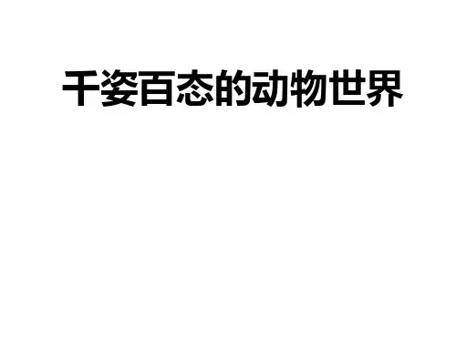 苏教版初中生物八上5. 1千姿百态的动物世界 课件  