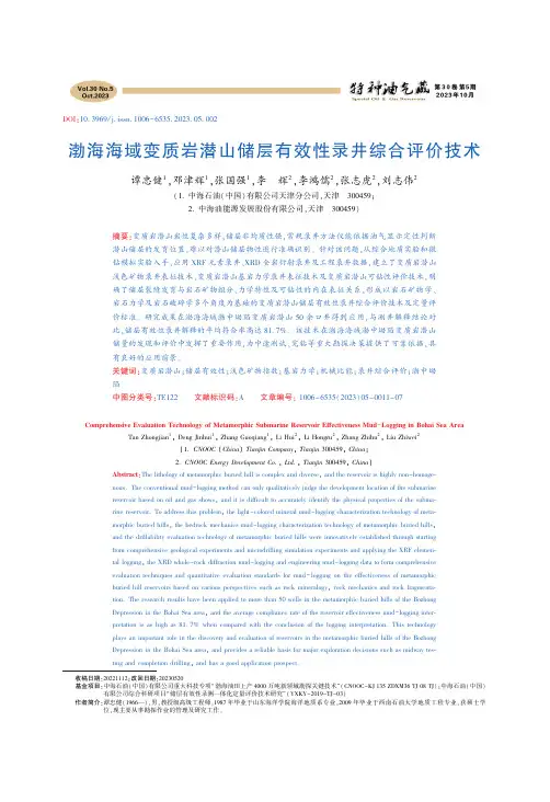 渤海海域变质岩潜山储层有效性录井综合评价技术