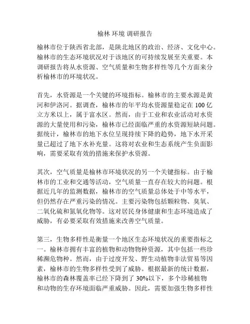 榆林 环境 调研报告