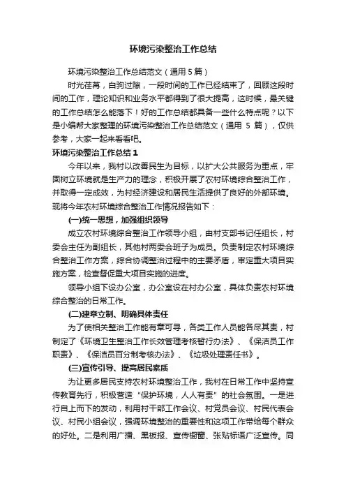 环境污染整治工作总结范文（通用5篇）