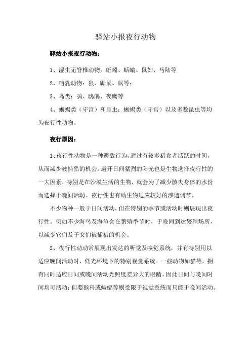 驿站小报夜行动物