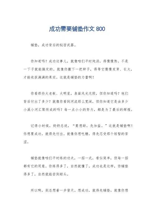 成功需要铺垫作文800