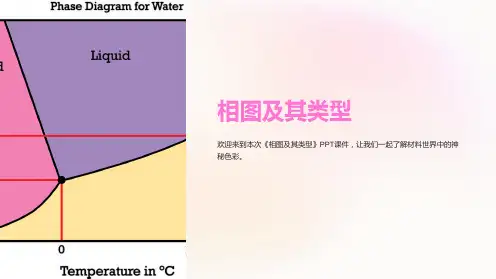 《相图及其类型》课件