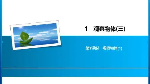 (人教版)_观察物体_课件完美版1