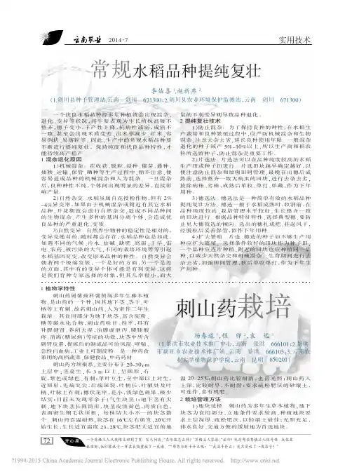 常规水稻品种提纯复壮_李佑喜