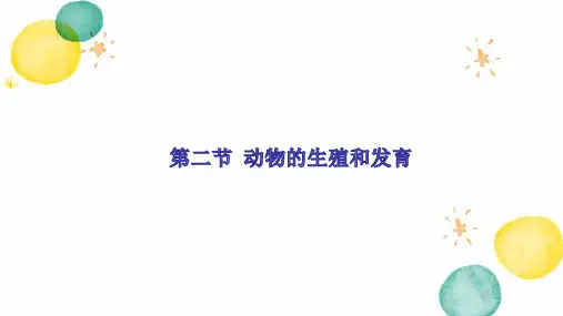 北师大版生物学八年级上册19.2 动物的生殖和发育