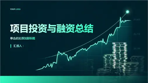 项目投资与融资总结