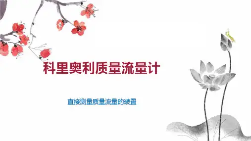 科里奥利质量流量计