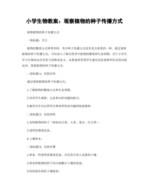 小学生物教案：观察植物的种子传播方式
