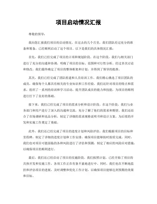 项目启动情况汇报