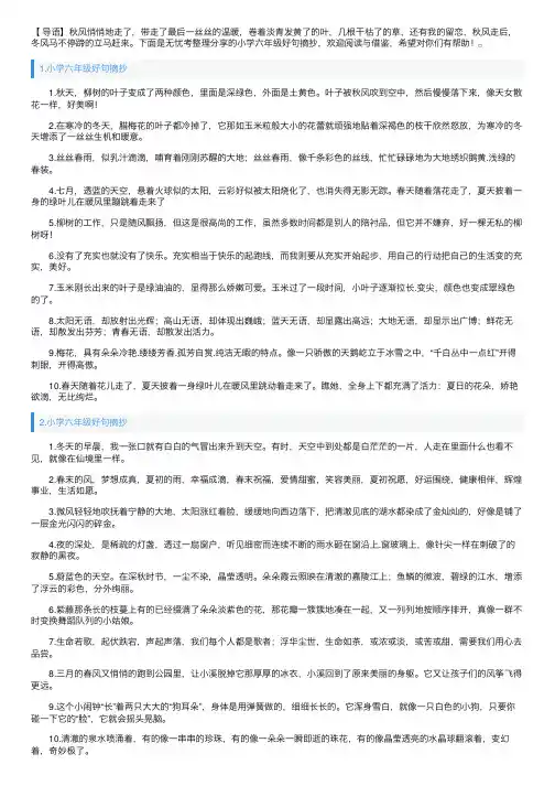 小学六年级好句摘抄（5篇）