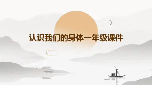 认识我们的身体一年级课件