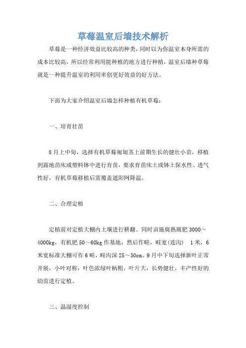 草莓温室后墙技术解析