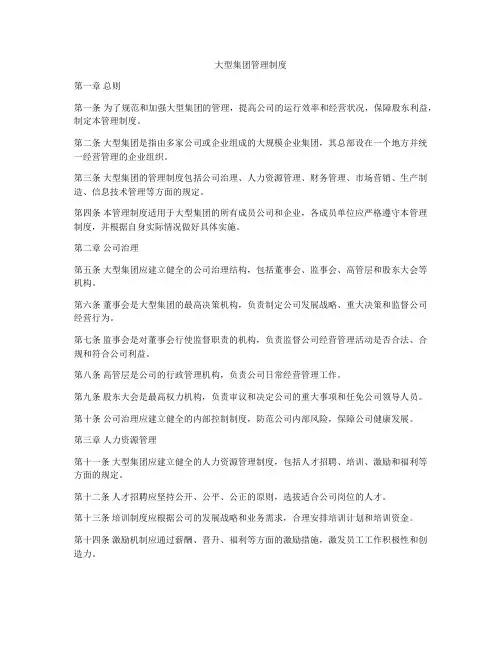大型集团管理制度
