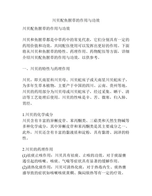 川贝配鱼腥草的作用与功效