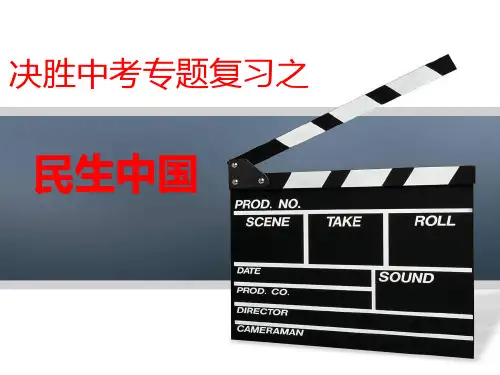 民生中国专题复习课件