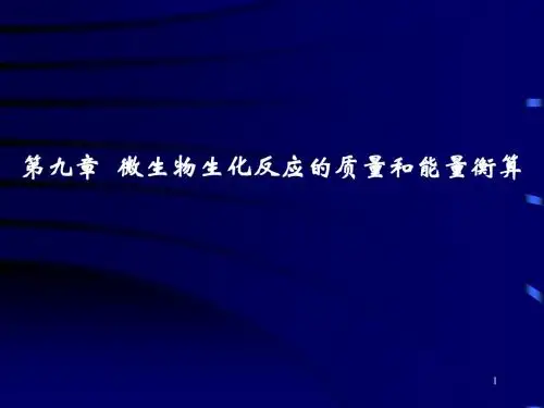 第九章 微生物生化反应过程的质量和能量衡算