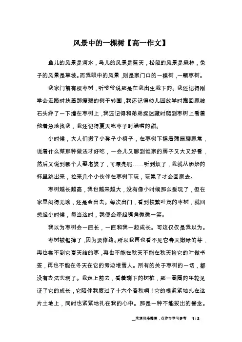 风景中的一棵树【高一作文】