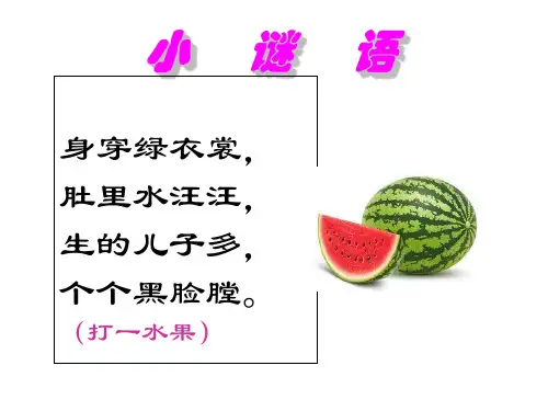我喜欢的一种水果课件ppt