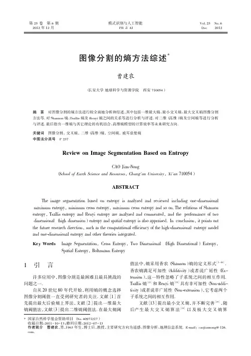 图像分割的熵方法综述