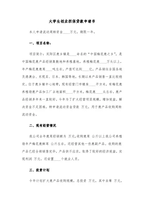 大学生创业担保贷款申请书（六篇）