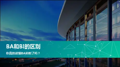 BA和BI的区别