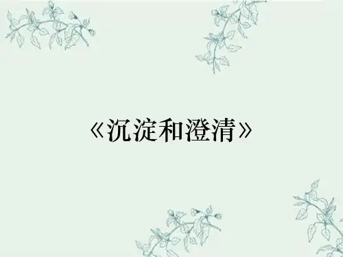 《沉淀和澄清》