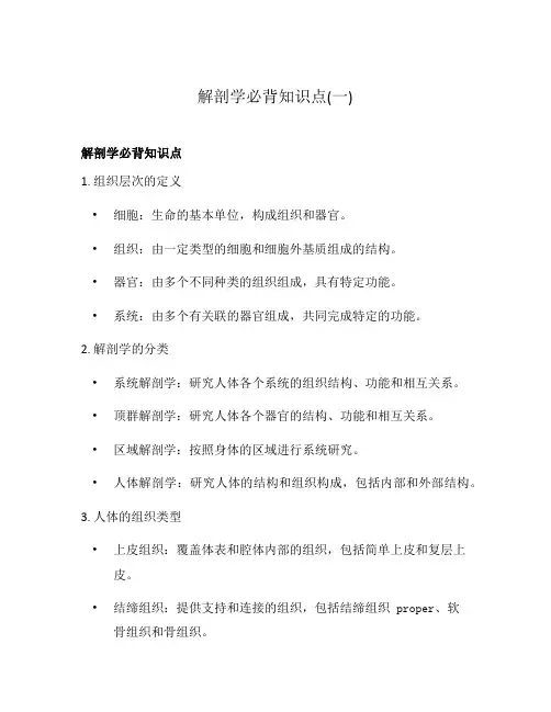 解剖学必背知识点(一)