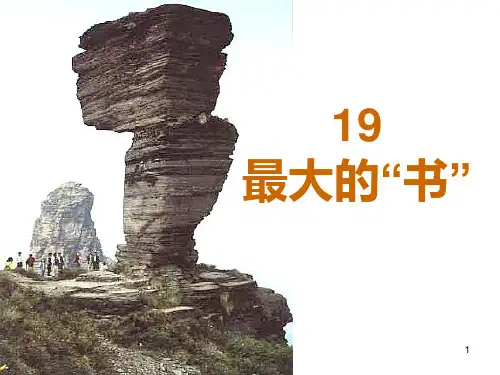 人教版二年级下册19 最大的书PPT课件