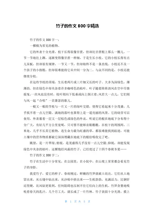 竹子的作文800字精选