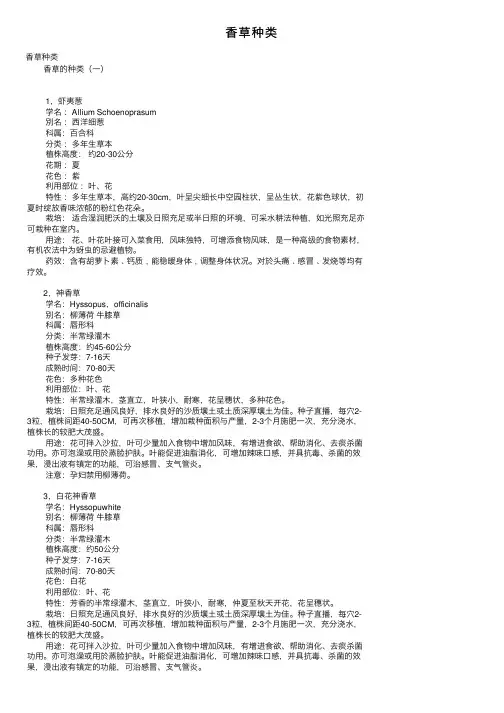 香草种类——精选推荐