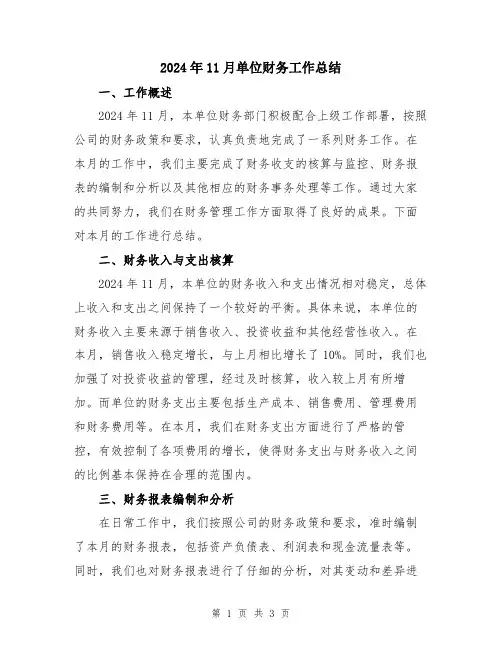 2024年11月单位财务工作总结