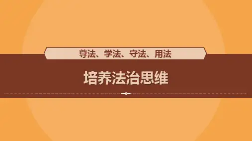 思想道德修养与法律基础：培养法治思维