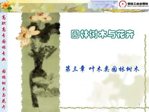 06叶木类园林树木