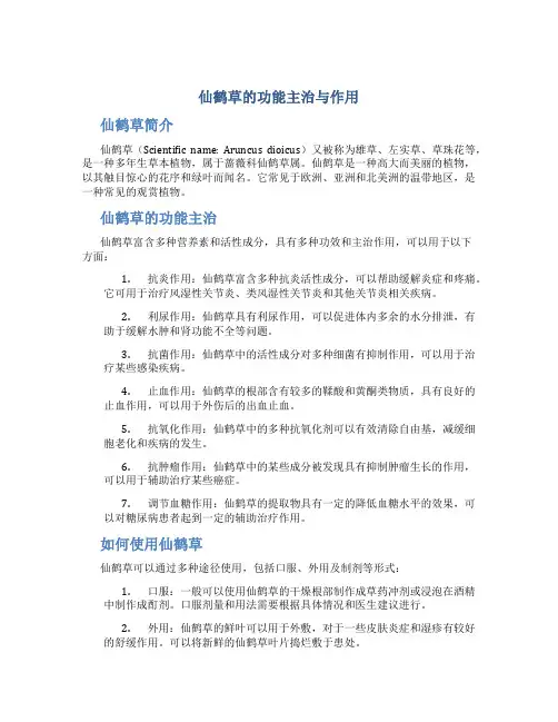 仙鹤草的功能主治与作用
