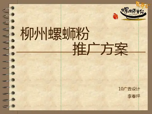 柳州螺蛳粉推广方案